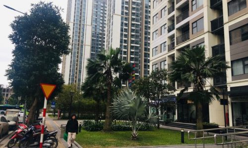 Bán cắt lỗ shop house Vinhomes Ocean Park Gia Lâm tỏa S103