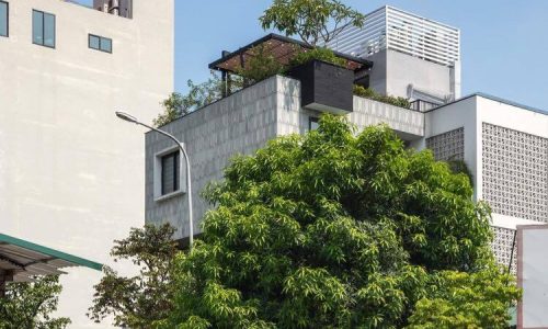 Biệt thự Mỹ Đình 200m2, lô góc, 6 tầng, thang máy, view vườn hoa, giá 50 tỷ