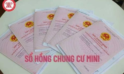 Được cấp sổ hồng không khi mua chung cư mini