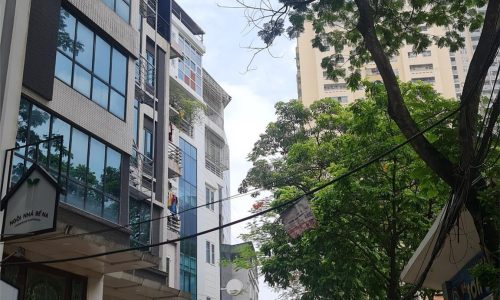 Cần Bán Nhà Ngõ Ô Tô tránh Phố Nguyễn Chánh, Sổ Hồng sẵn